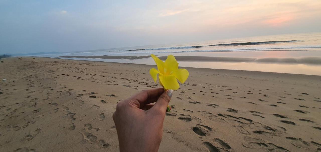 Blue Lagoon Beach Resort Gokarna  Εξωτερικό φωτογραφία